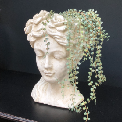Senecio Faux Plant styled in a Flower Girl Bust head