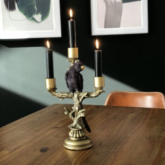 Carnaby Purple Parrot Candlestick