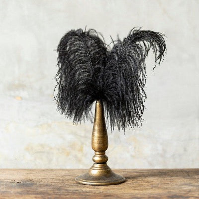Two Black feathers on a gold centre piece stand