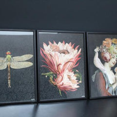Dragonfly poster and black frame, 30 x 40cm