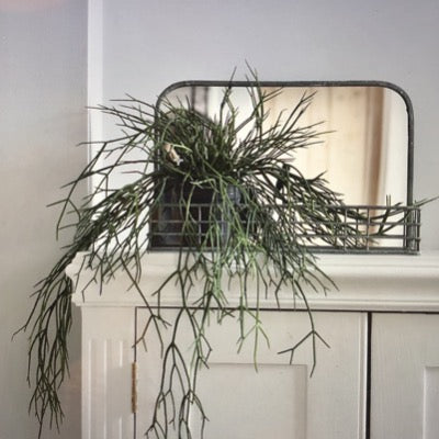 Wall Mirror with Wire Shelf, Small