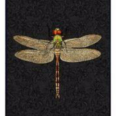 DragonFly poster and black frame, 30x40cm. Understated simplicity at it's best, the DragonFly print on a black background, framed in neutral black for added versatility.