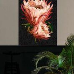 Pink Protea Flower Poster and Black Frame, 30x40cm