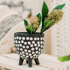 Black and white spotted indoor plant pot legs