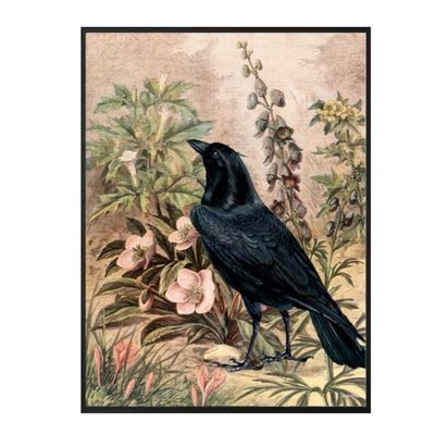Raven / Botanical Poster & Black Frame, 30x40cm