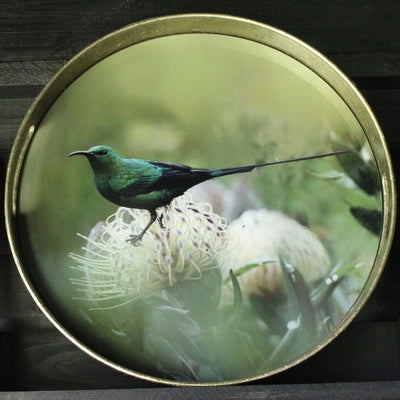 Waltham Round Tray with Bird Pattern, Small